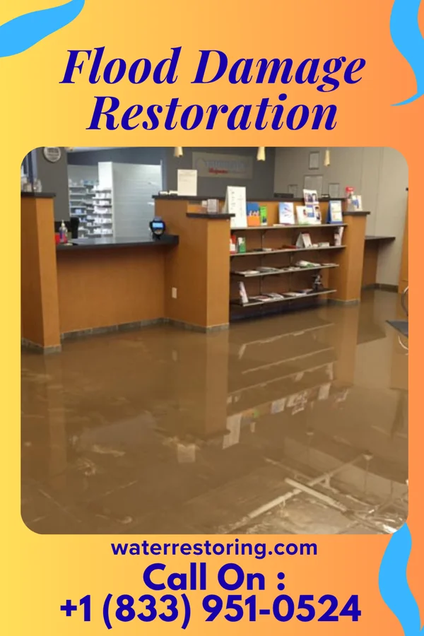 Flood Damage Restoration in Madison, IL