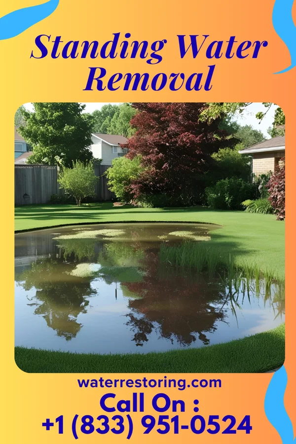 Standing Water Removal in Madison, IL
